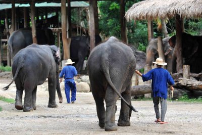 Thailand
