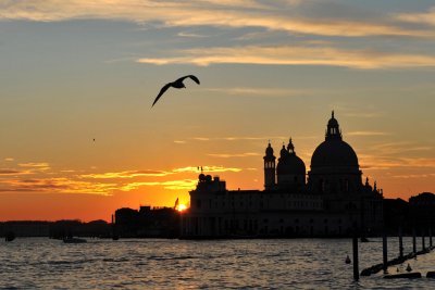 Venise