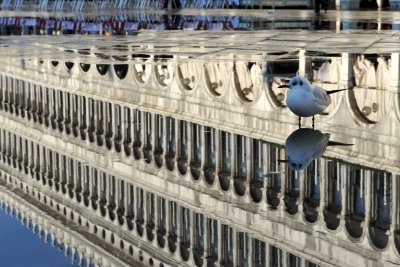 Piazza San Marco