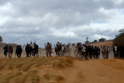 Madagascar