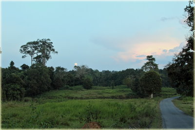 Khao Yai Park