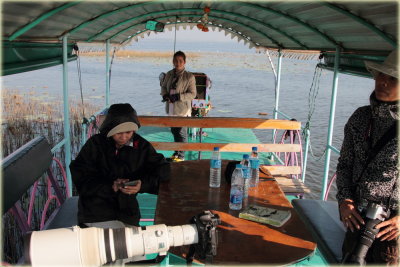 Wetland Boat Ride 