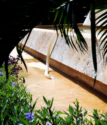 Beach And Caribe Closed