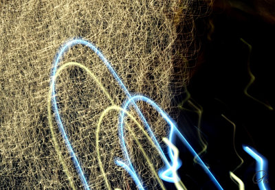 Fishing Net
