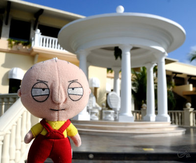This Is Where Stewie Wants To Get Married