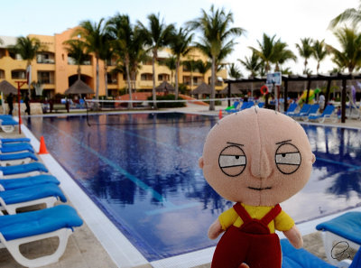 Ready For Some Laps In The Palace Sports Pool