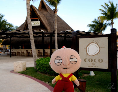 Quick Stop At The Coco Bar