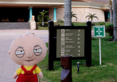 Stewie Knows Where To Meet In An Emergency
