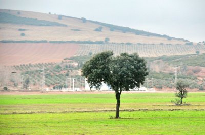 Spain DSC_1367 W.jpg