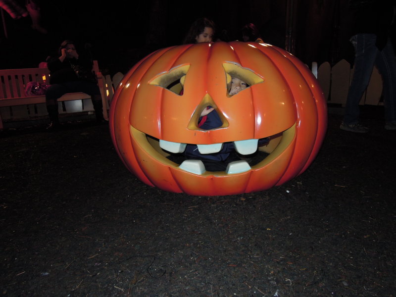 DSCN7453.JPG