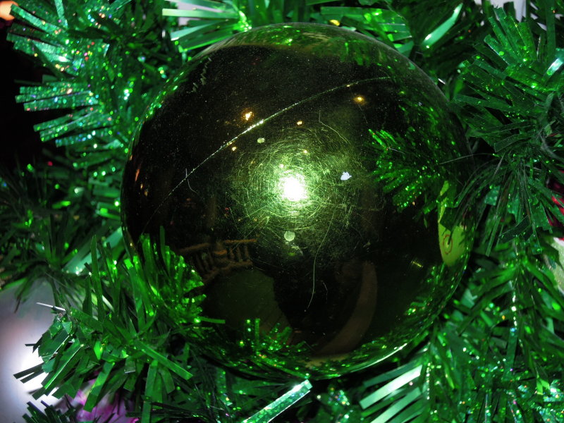 DSCN7459.JPG
