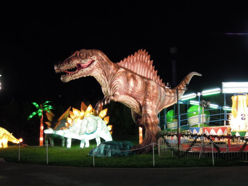 DSCN6908.JPG