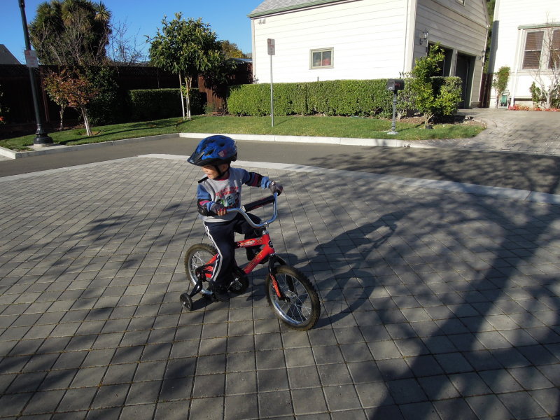DSCN8781.JPG