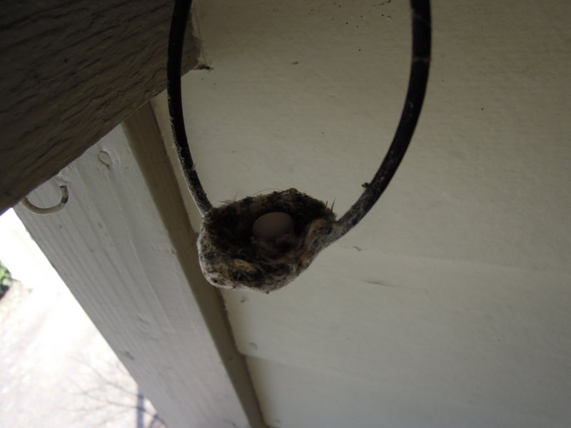 DSCN8807.JPG