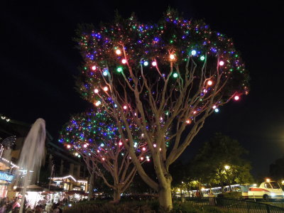 DSCN7293.JPG