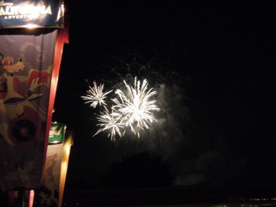 DSCN7303.JPG