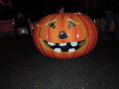 DSCN7453.JPG
