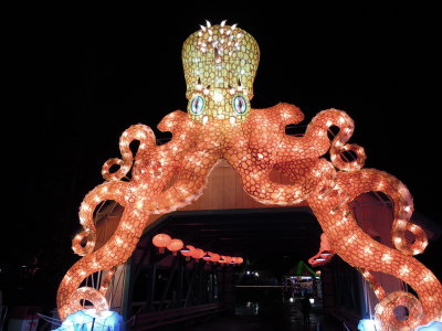DSCN6875.JPG