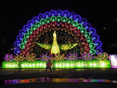 DSCN6882.JPG