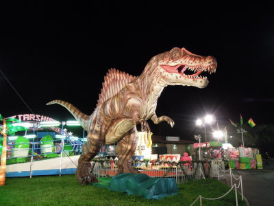 DSCN6900.JPG