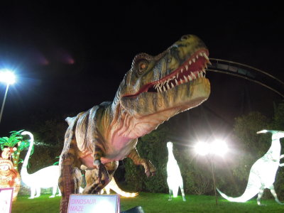 DSCN6911.JPG