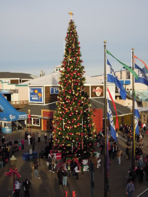 DSCN6964.JPG
