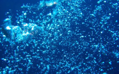 underwater-bubbles-190.jpg