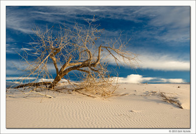 Untitled 2, White Sands National Monument, New Mexico, 2013