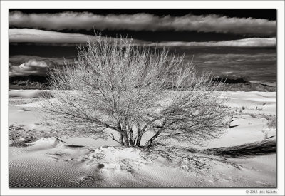 White Sands National Monument, Jan 2013