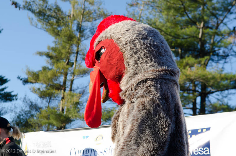 ds20121122-0022.jpg