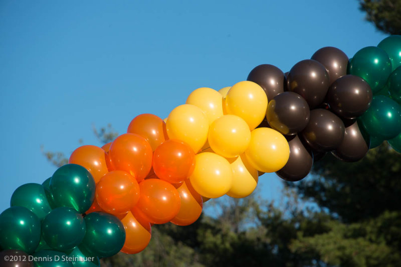 ds20121122-0074.jpg