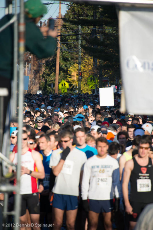 ds20121122-0082.jpg