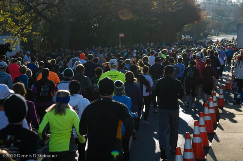 ds20121122-0173.jpg
