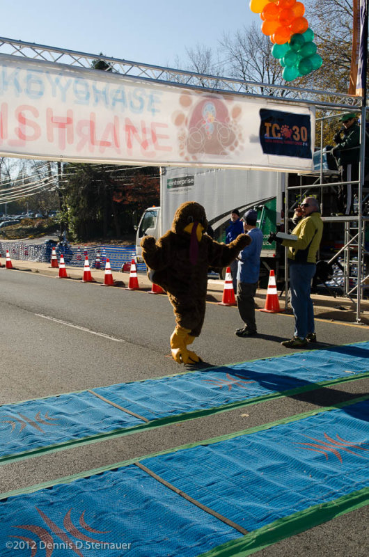 ds20121122-0265.jpg