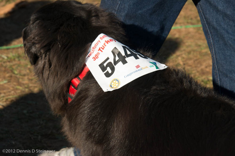 ds20121122-0584.jpg