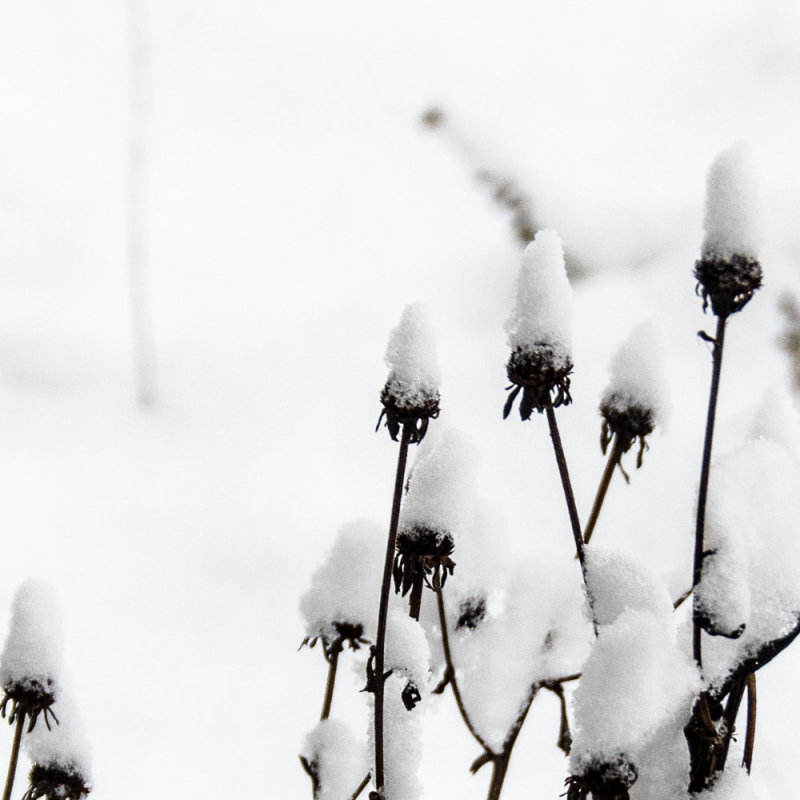 ds20121225-0001w.jpg