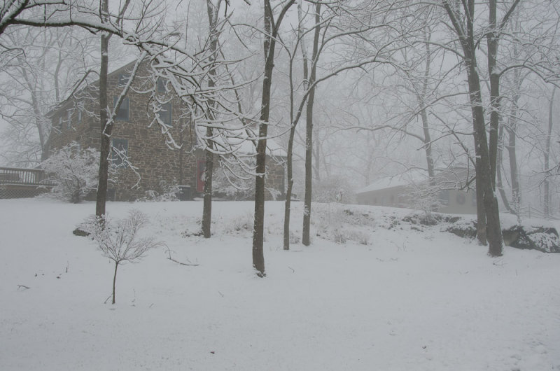 ds20121225-0059w.jpg