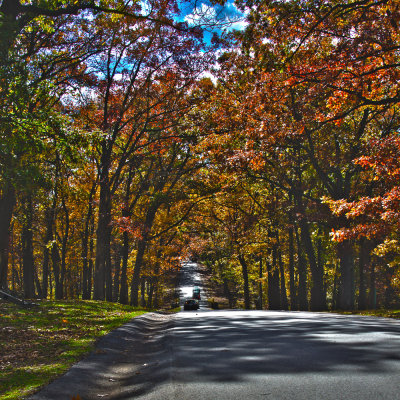 10/20/2012 - Confederate Avenue (Fall)<br><font size=3>ds20121020-0053aw.jpg</font>