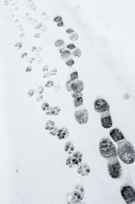 ds20121225-0003w.jpg
