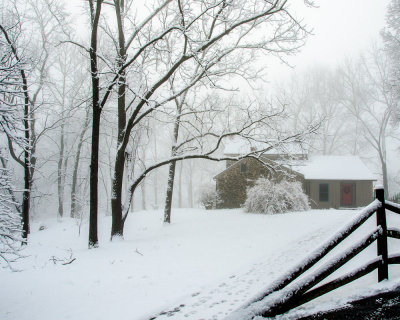 ds20121225-0010w.jpg