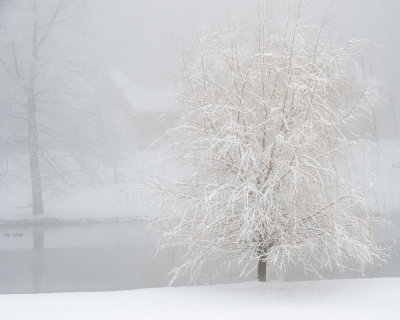 ds20121225-0017w.jpg