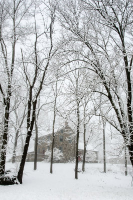 ds20121225-0052w.jpg