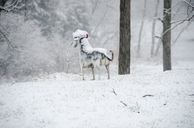 ds20121224-0004w.jpg