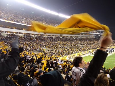 DSC01839 (steelers).JPG