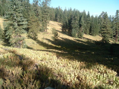 DSCF4500.JPG