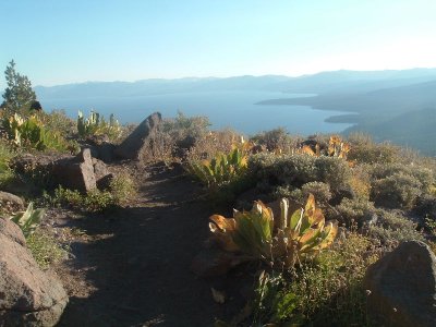 DSCF4538.JPG