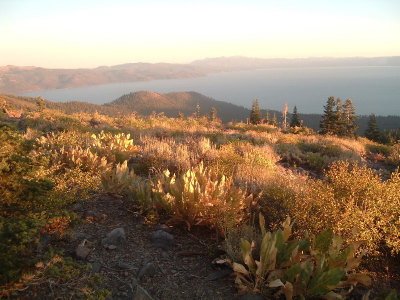 DSCF4564.JPG