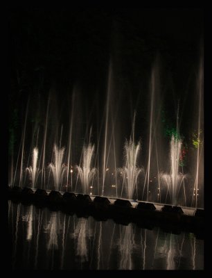 DSCF4956.jpg