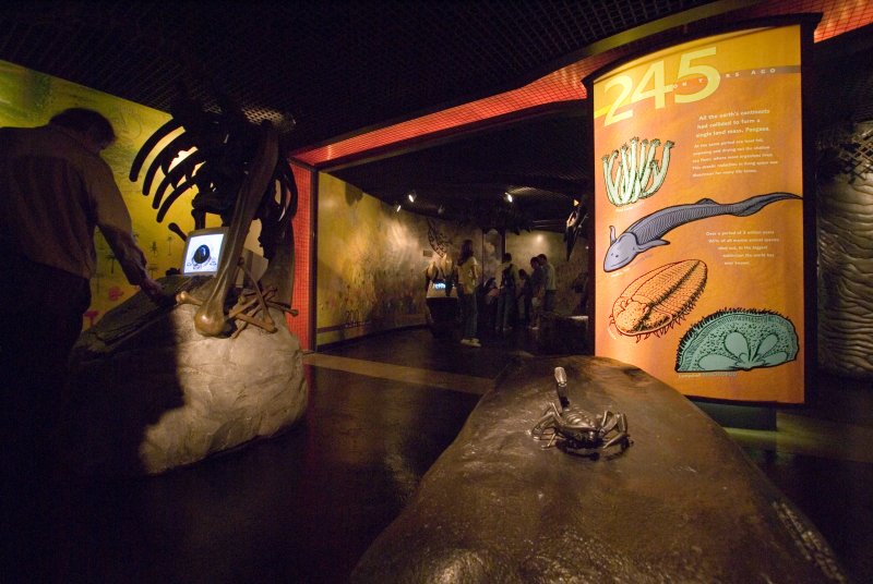 dynamicearth.jpg