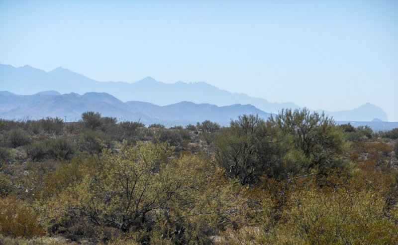 Saguaro National Park Ride